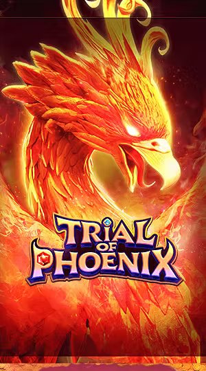 Cược Bóng Rổ Tinh Anh